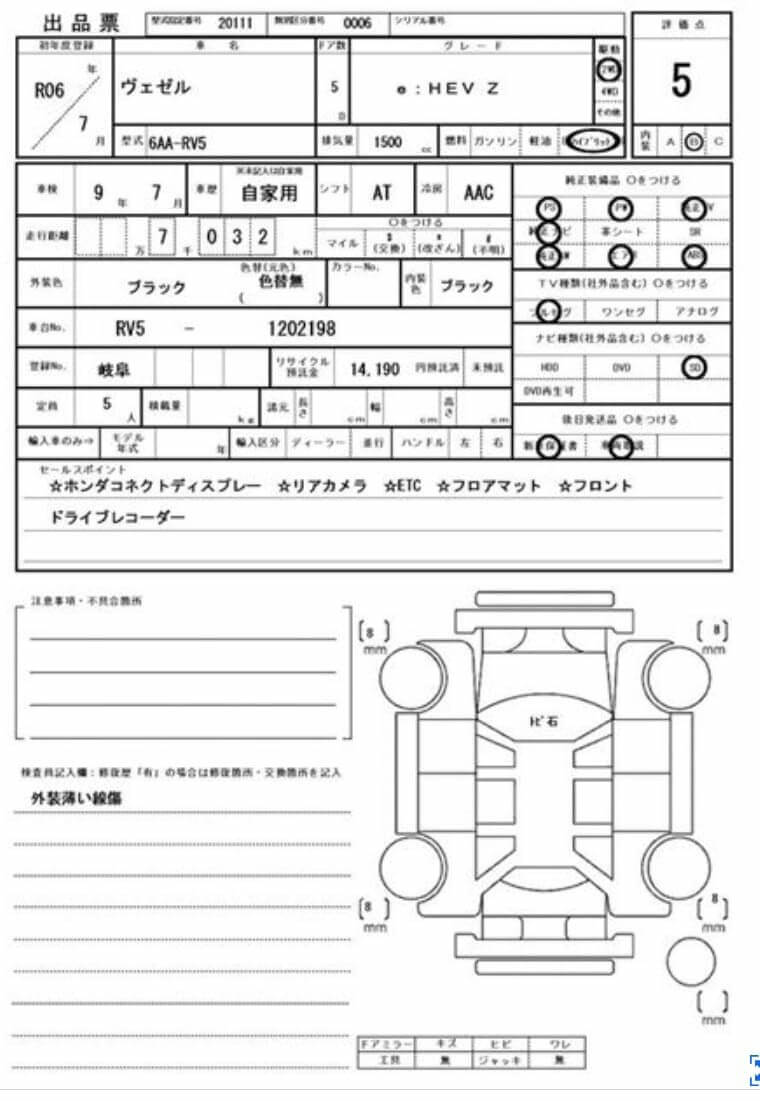 Option Certificate